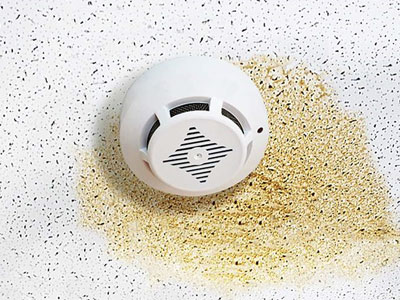 Martindale Pinnacle Construction Images